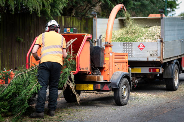 Best Aeration Services  in Hallettsville, TX