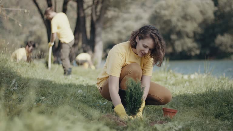 Best Lawn Watering Services  in Hallettsville, TX